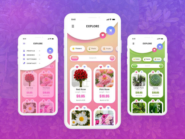 花卉订购App应用程序概念设计模板